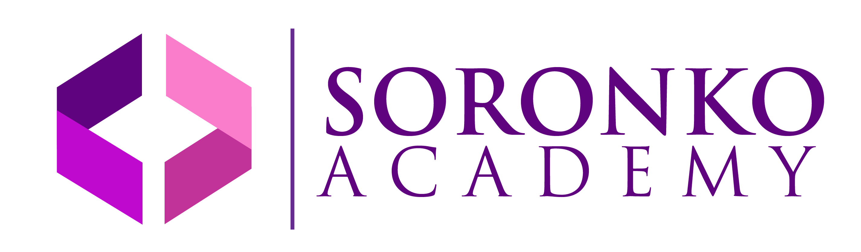 Soronko Academy