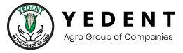 Yeden
